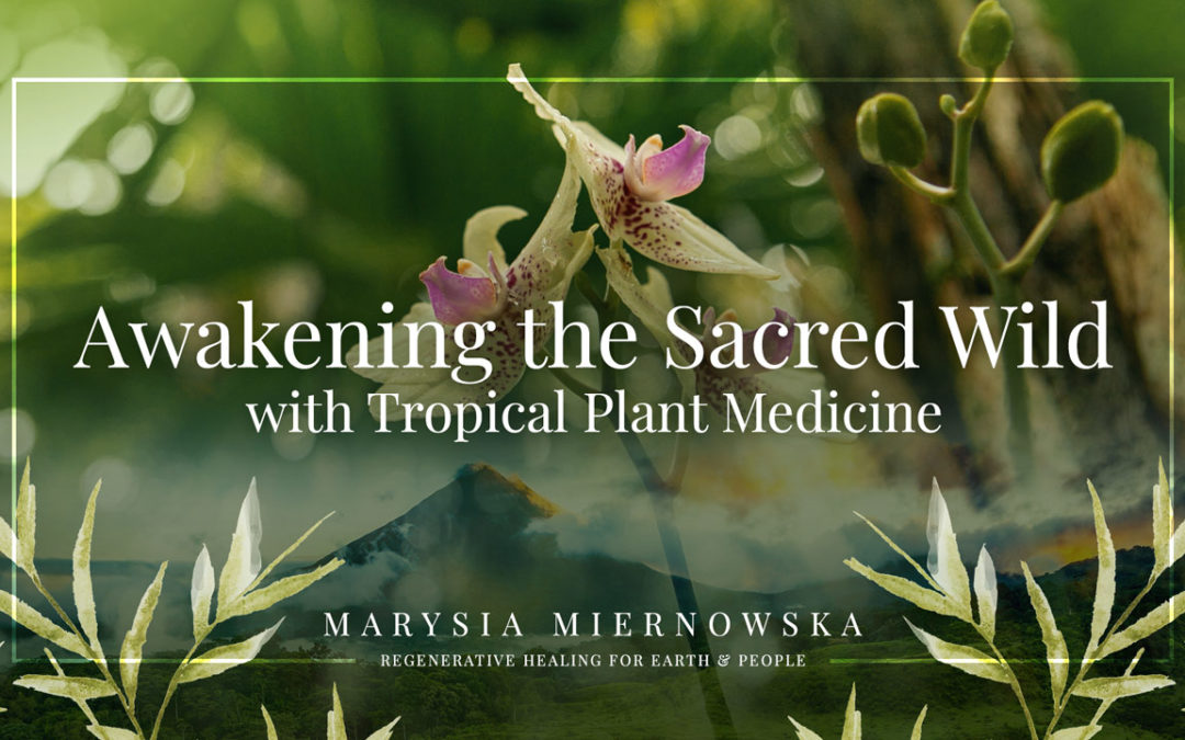 Awaking the Sacred Wild with Tropical Plant Medicine