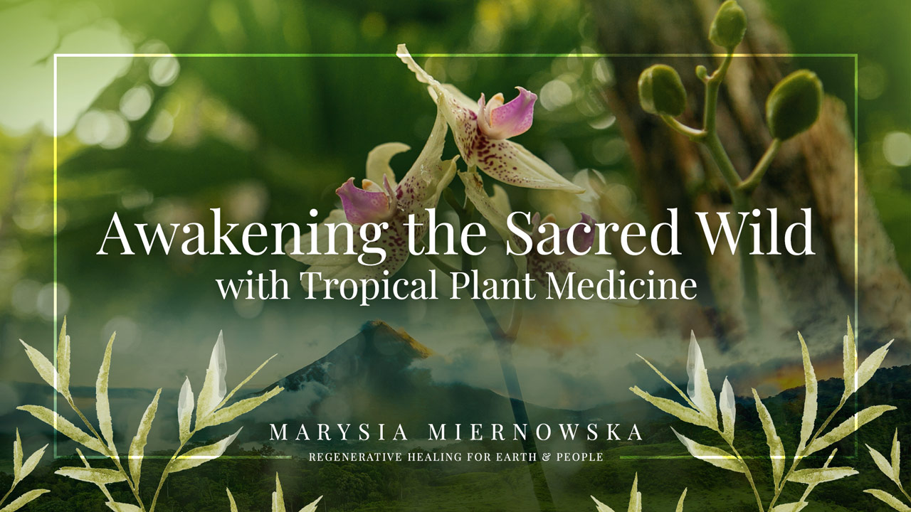 Awaking the Sacred Wild with Tropical Plant Medicine