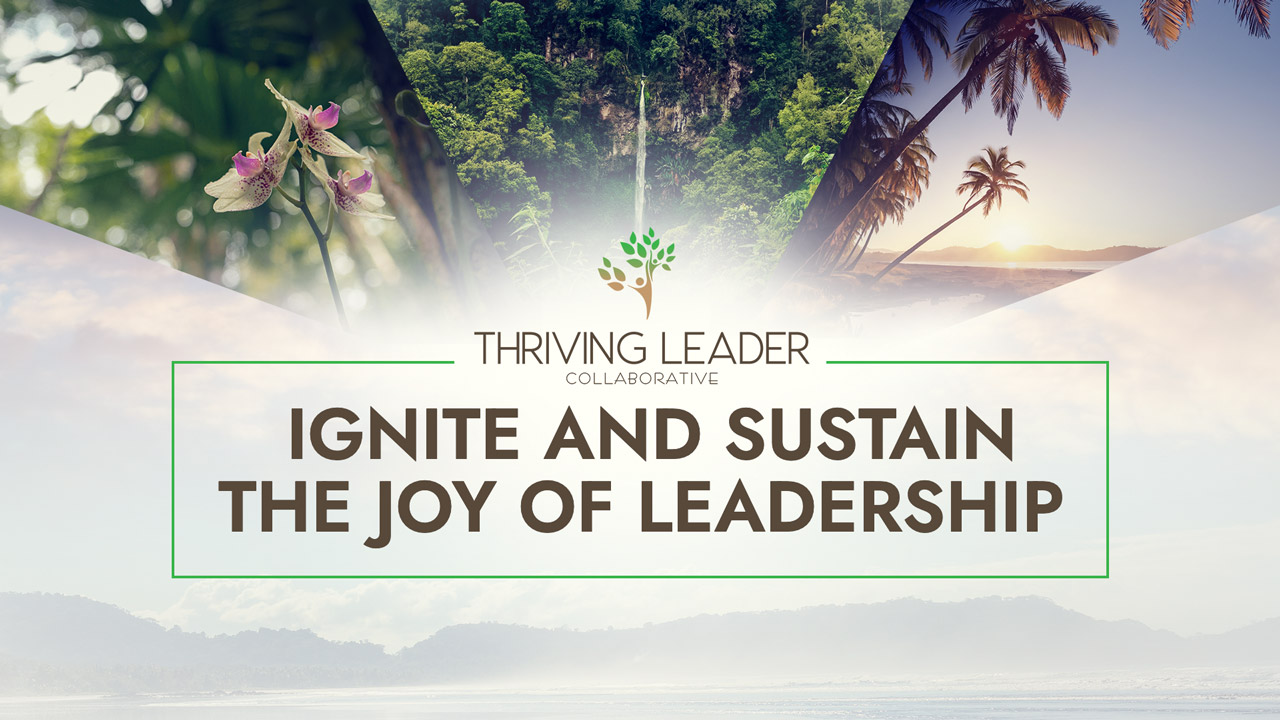 Ignite and Sustain the Joy of Leadership