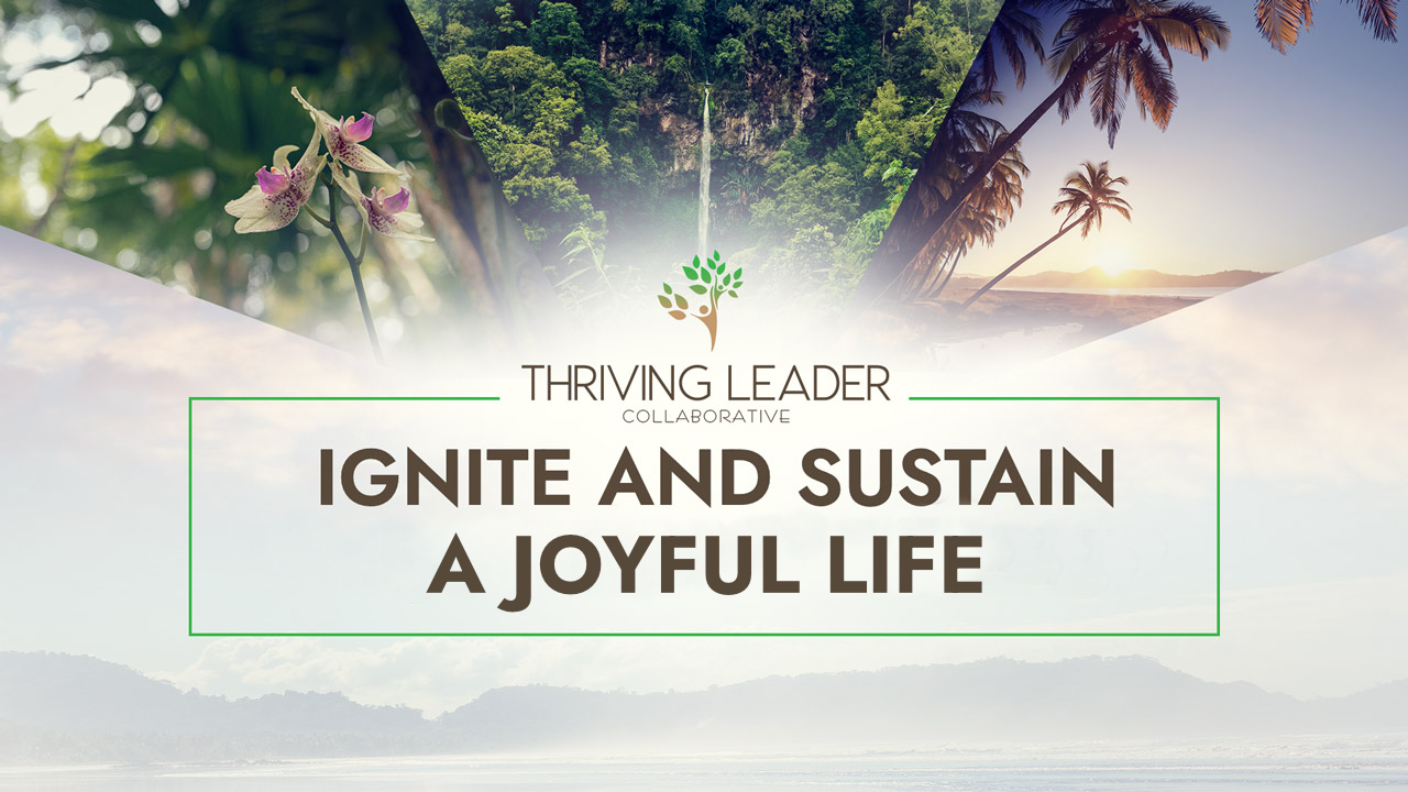 Ignite and Sustain a Joyful Life