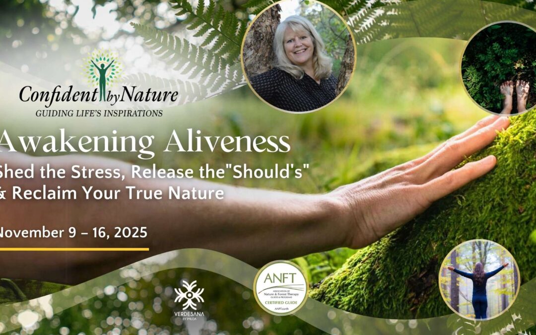 Awakening Aliveness | Karen Richter