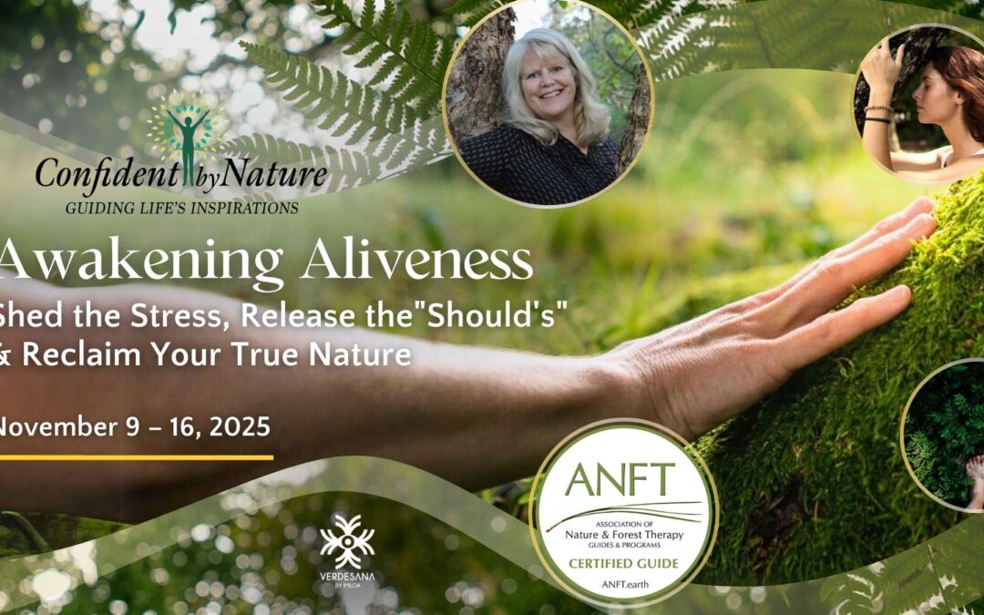 Awakening Aliveness | Karen Richter