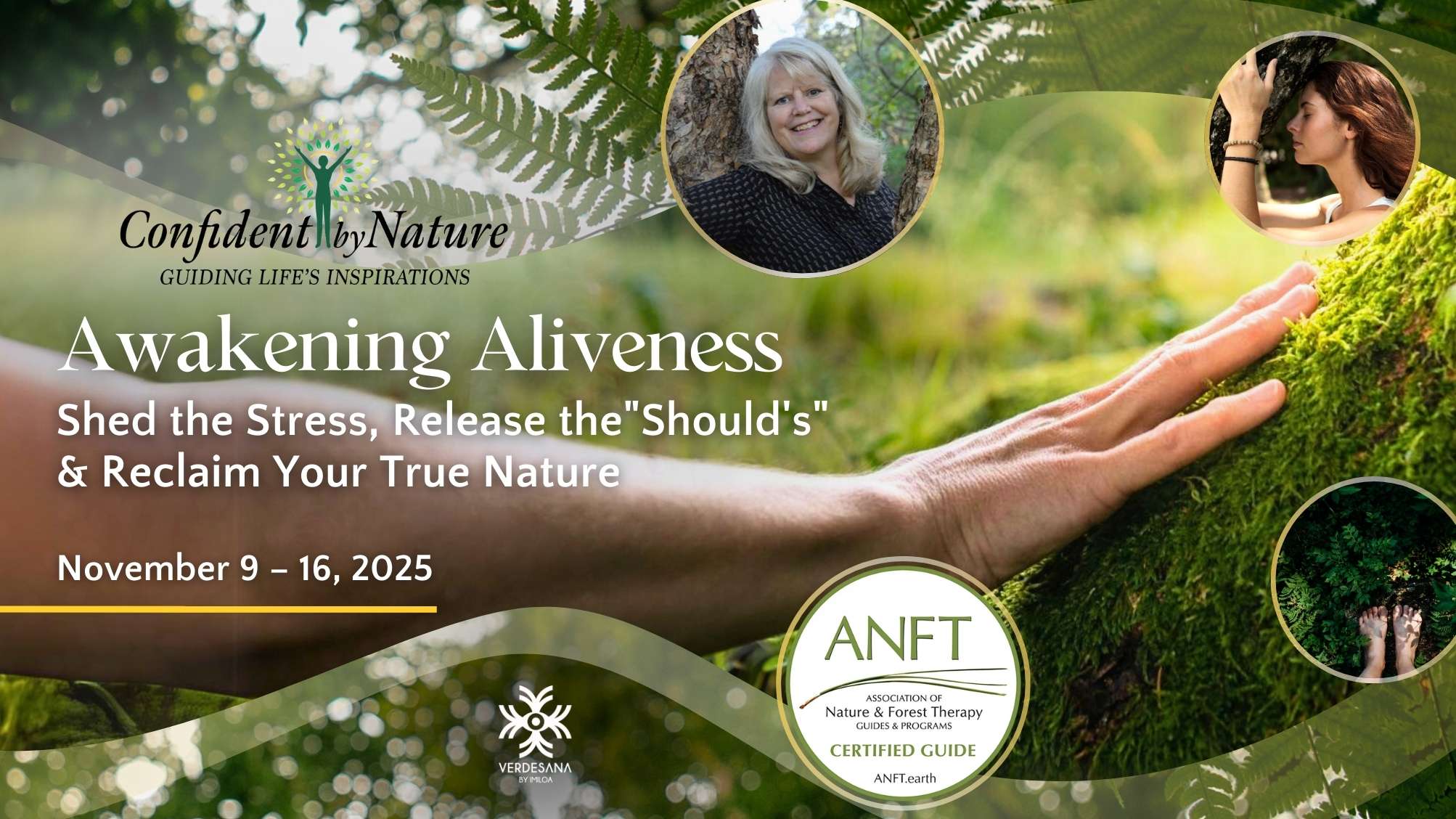 Cloud Forest Awakening Retreat with Simonne Rossi Paumard