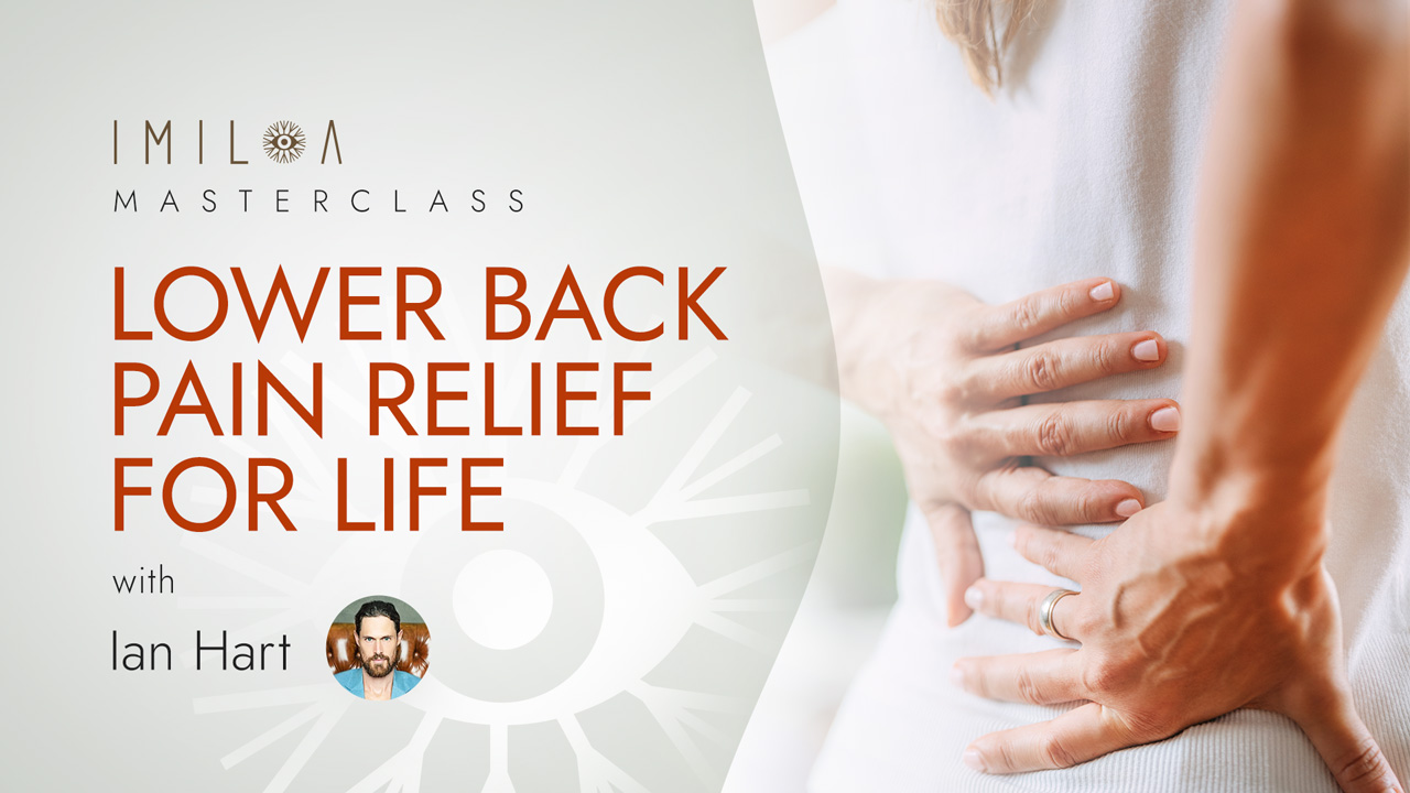 Lower Back Pain Relief for Life