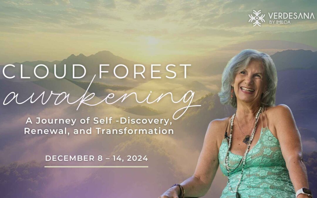 Cloud Forest Awakening for Women | Simonne Rossi Paumard