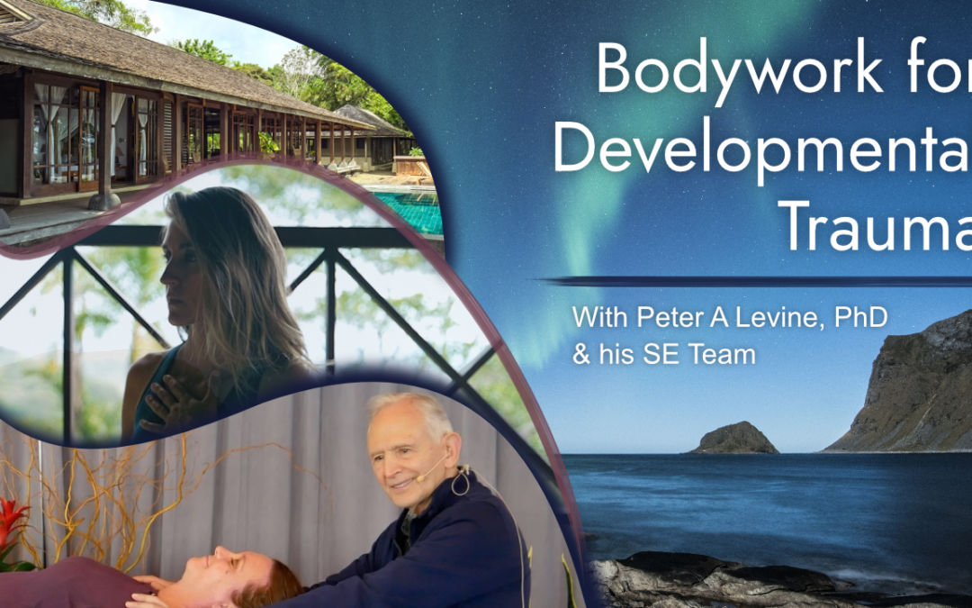 Bodywork for Developmental Trauma