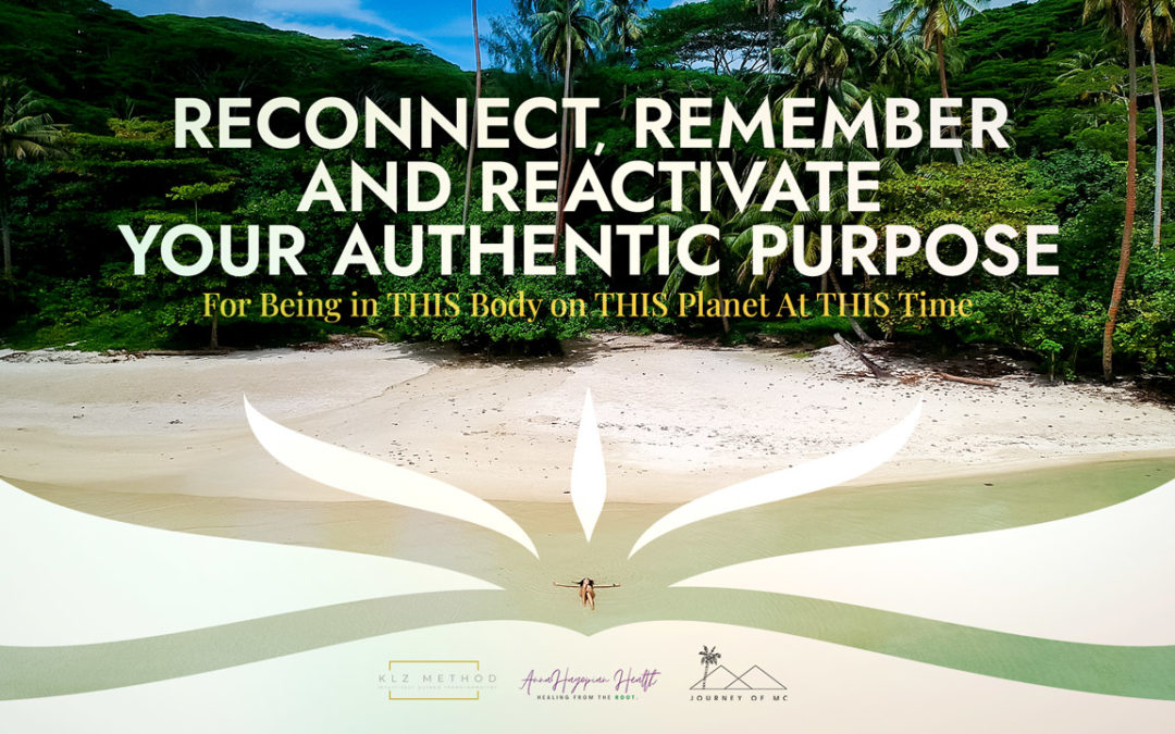 Reconnect, Remember and Reactivate Your Authentic Purpose