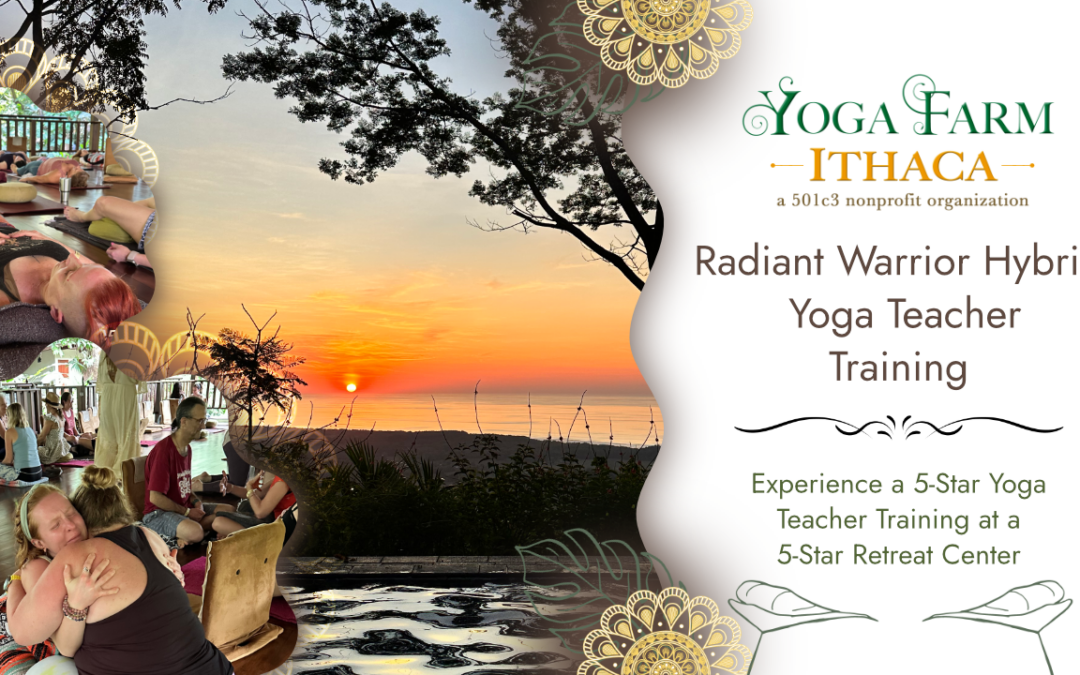 Radiant Warrior Hybrid Yoga Teacher Training