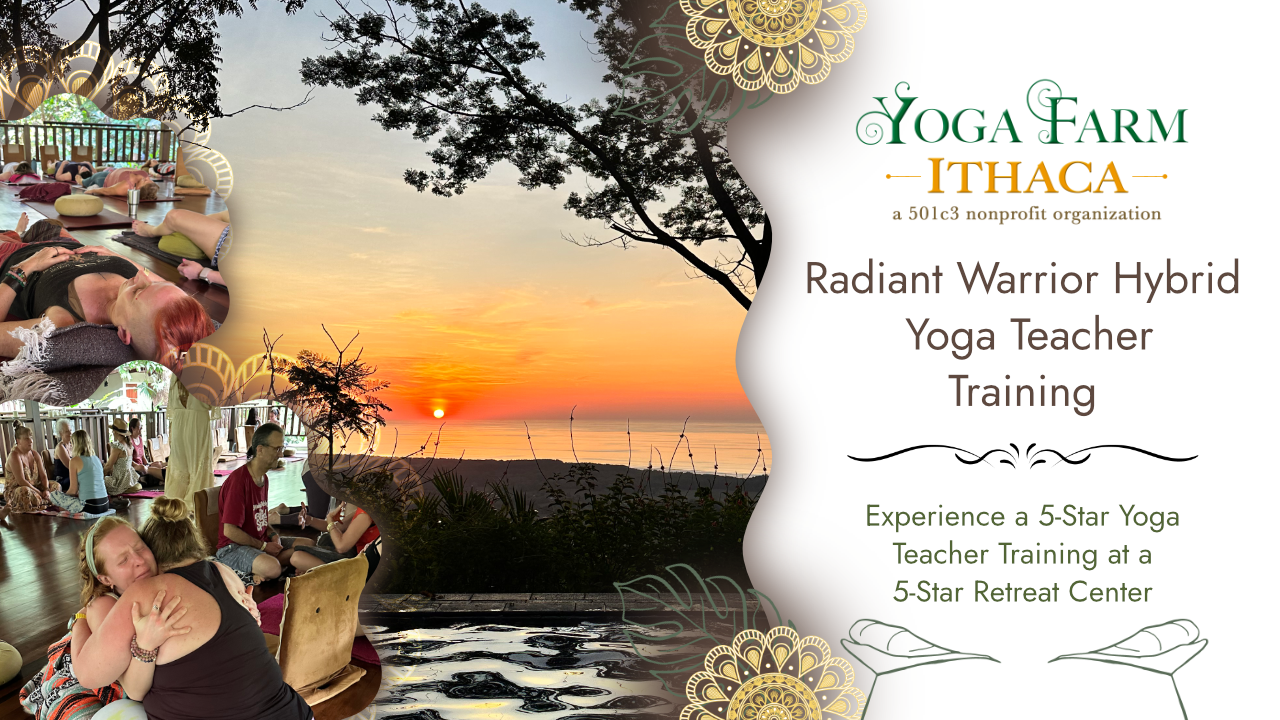 Radiant Warrior Hybrid Yoga Teacher Training