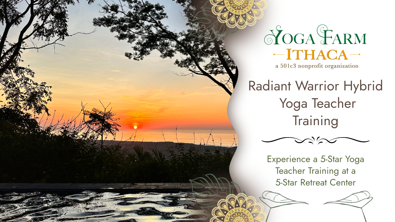 Radiant Warrior Hybrid Yoga Teacher Training - Imiloa Institute